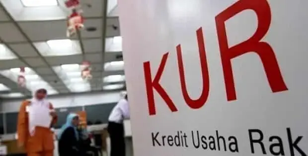 Bunga KUR Rendah Jadi Daya Tarik KUMKM Bunga KUR Rendah Jadi Daya Tarik KUMKM