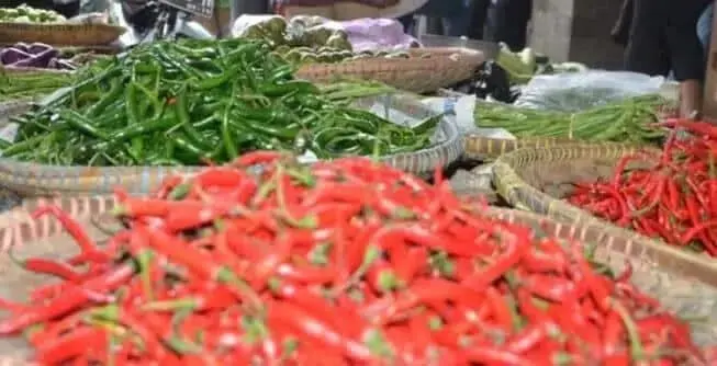 Harga Cabai Melonjak di Atas Rp 55.000 Harga Cabai Melonjak di Atas Rp 55.000
