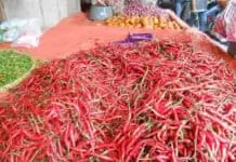 Terkendala Pasokan, BPS: Cabai Merah Picu Inflasi November Terkendala Pasokan, BPS: Cabai Merah Picu Inflasi November