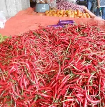 Terkendala Pasokan, BPS: Cabai Merah Picu Inflasi November Terkendala Pasokan, BPS: Cabai Merah Picu Inflasi November