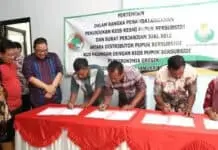 Puspayoga: Kluster Pertanian Bisa Hentikan Impor Beras Puspayoga: Kluster Pertanian Bisa Hentikan Impor Beras