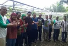 Kemenkop Dorong Bisnis Hidroponik KUKM Masuki Pasar Modern Kemenkop Dorong Bisnis Hidroponik KUKM Masuki Pasar Modern
