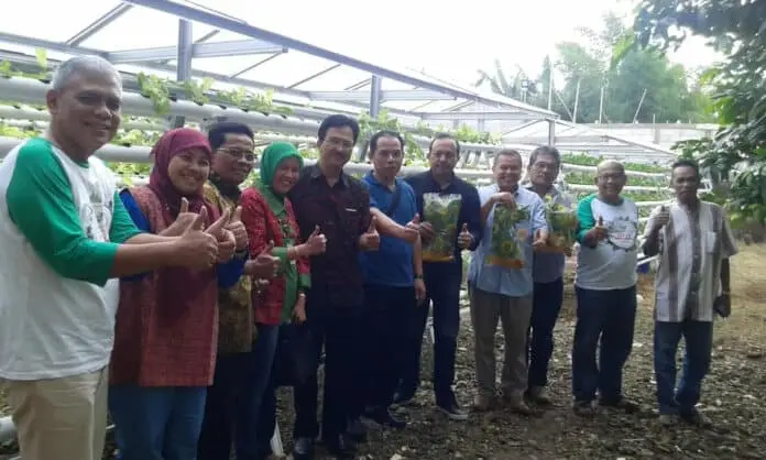 Kemenkop Dorong Bisnis Hidroponik KUKM Masuki Pasar Modern Kemenkop Dorong Bisnis Hidroponik KUKM Masuki Pasar Modern