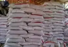 Koptan Gema Pakagung Sukses Jadi Distributor Pupuk Bersubsidi Koptan Gema Pakagung Sukses Jadi Distributor Pupuk Bersubsidi
