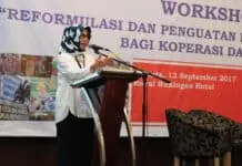 Reformulasi Kebijakan Pembiayaan KUMKM Reformulasi Kebijakan Pembiayaan KUMKM