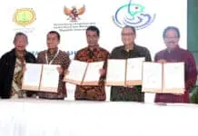 KUR Bunga 7 Persen Disalurkan Bagi Peremajaan Sawit Rakyat Berbasis Koperasi