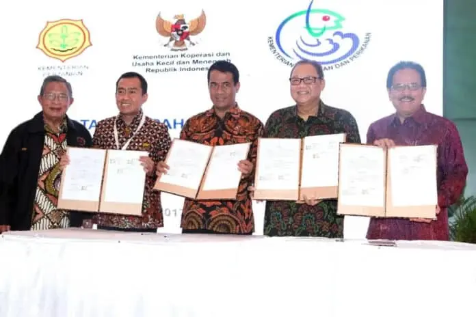 KUR Bunga 7 Persen Disalurkan Bagi Peremajaan Sawit Rakyat Berbasis Koperasi KUR Bunga 7 Persen Disalurkan Bagi Peremajaan Sawit Rakyat Berbasis Koperasi