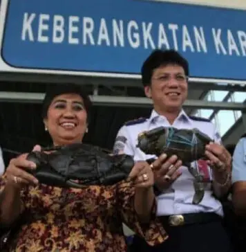 Pengusaha lokal Kota Kendari, Mengekspor Kepiting Bakau Ke Singapura Pengusaha lokal Kota Kendari, Mengekspor Kepiting Bakau Ke Singapura