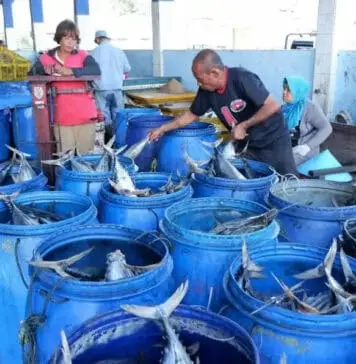KUD Mino Saroyo Teladan Sukses Koperasi Pengelola TPI