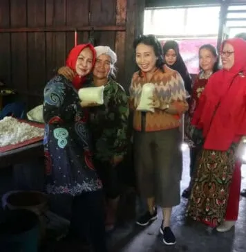 Kunjungi UKM Krayan, Bintang Puspayoga: Unik, Garam dari Air Gunung