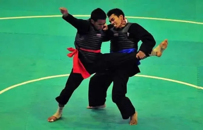pencak silat 2