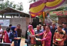 Koperasi Lelang Perdana Anak Sapi