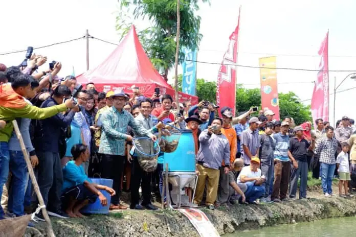 Kolaborasi Telkomsel Hadirkan Kampung Perikanan Digital Kolaborasi Telkomsel Hadirkan Kampung Perikanan Digital