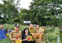 Kemenkop Panen Raya Cabai Hasil Pemberdayaan Anggota Koperasi Kemenkop Panen Raya Cabai Hasil Pemberdayaan Anggota Koperasi