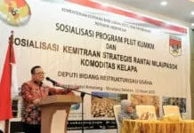 PLUT KUMKM Perlu Dukungan Pemda PLUT KUMKM Perlu Dukungan Pemda