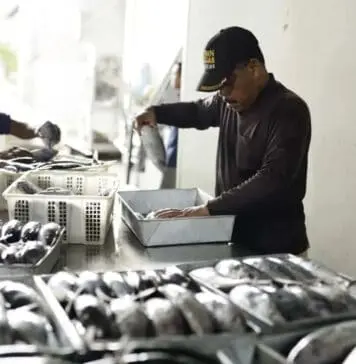 Eksportir Tuna Aceh Sukses Taklukkan Pasar Mancanegara Eksportir Tuna Aceh Sukses Taklukkan Pasar Mancanegara