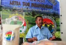 Tingkatkan Produksi Jagung, Koperasi Tani Penuhi Pakan Ternak Tingkatkan Produksi Jagung, Koperasi Tani Penuhi Pakan Ternak