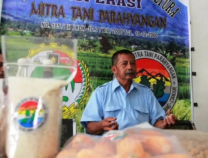 Tingkatkan Produksi Jagung, Koperasi Tani Penuhi Pakan Ternak Tingkatkan Produksi Jagung, Koperasi Tani Penuhi Pakan Ternak