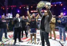 Tumbangkan Ahong, Theo Ginting Juara Baru One Pride MMA