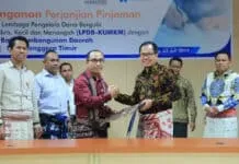 LPDB Buka Akses Pembiayaan Bagi Peternak Sapi di Kupang LPDB Buka Akses Pembiayaan Bagi Peternak Sapi di Kupang