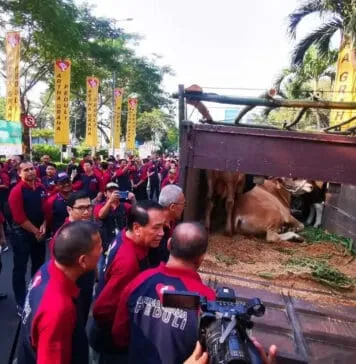 Sambut Hari Raya Idul Adha, AGP Tebar Hewan Kurban di 228 Titik