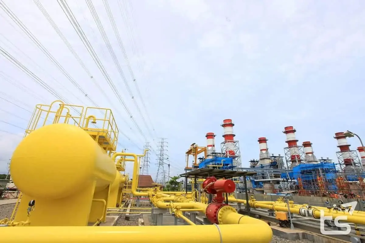 Manajemen Titis Sampurna Bantah Mardigu Sebagai Pendiri dan Pemilik Perseroan Manajemen Titis Sampurna Bantah Mardigu Sebagai Pendiri dan Pemilik Perseroan