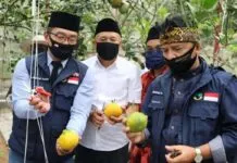 Antisipasi Krisis Pangan, Koppontren Akan Dijadikan Role Model Antisipasi Krisis Pangan, Koppontren Akan Dijadikan Role Model