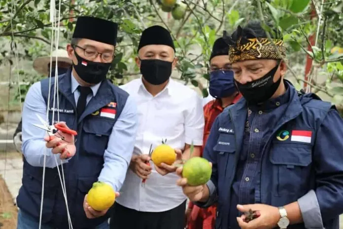 Antisipasi Krisis Pangan, Koppontren Akan Dijadikan Role Model Antisipasi Krisis Pangan, Koppontren Akan Dijadikan Role Model