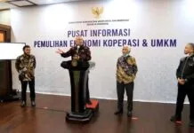 LPDB Targetkan 4,8 Juta UMKM Dapat Dana PEN Rp1 Triliun LPDB Targetkan 4,8 Juta UMKM Dapat Dana PEN Rp1 Triliun