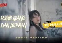Lirik Lagu Pergi Hilang dan Lupakan Happy Asmara