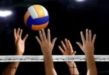 Tak Ada Dukungan Sponsor, PP PBVSI Batalkan Kompetisi Proliga 2021