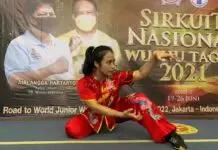 Dessy Indri Astuti, Dokter Cantik Juara Wushu Nasional