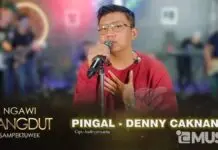 Lirik Lagu Pingal - Denny Caknan