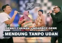 Lirik Lagu Mendung Tanpo Udan dan Artinya - Denny Caknan, Ndarboy Genk