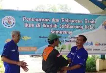 Jelang Reuni Akbar 2022, IAPAT Tebar 10 Ribu Benih Ikan