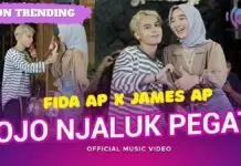 Lirik Lagu Ojo Njaluk Pegat - Fida AP X James AP