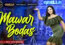Lirik Lagu Mawar Bodas – Desy Thata Adella Lirik Lagu Mawar Bodas - Desy Thata Adella