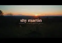 Lirik Lagu Wish I Didn't Know You - Shy Martin