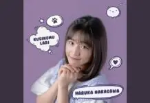Lirik Lagu Kucingmu Lari - Haruka Nakagawa