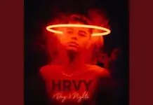Lirik Lagu 1 Day 2 Nights dan Terjemahan - HRVY