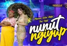 Lirik Lagu Nunut Ngiyup - Difarina Indra, Pak Ndut