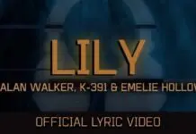 Lirik Lagu Lily dan Terjemahan - Alan Walker, K-391, Emelie Hollow