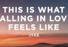Lirik Lagu This Is What Falling In Love Feels Like dan Terjemahan – JVKE Lirik Lagu This Is What Falling In Love Feels Like dan Terjemahan - JVKE