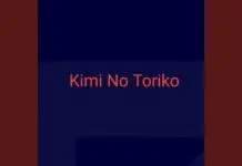 Lirik Lagu Kimi No Toriko dan Terjemahan - Rizky Ayuba