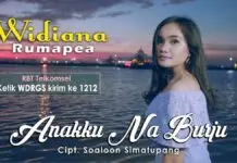 Lirik Lagu Anakku Naburju – Widiana Rumapea Lirik Lagu Anakku Naburju - Widiana Rumapea
