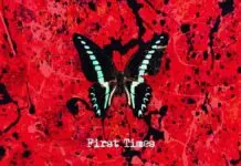 Lirik Lagu First Time dan Terjemahan – Ed Sheeran Lirik Lagu First Time dan Terjemahan - Ed Sheeran
