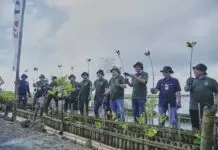 BNI Tanam 2.000 Bibit Mangrove di Teluk Benoa Bali