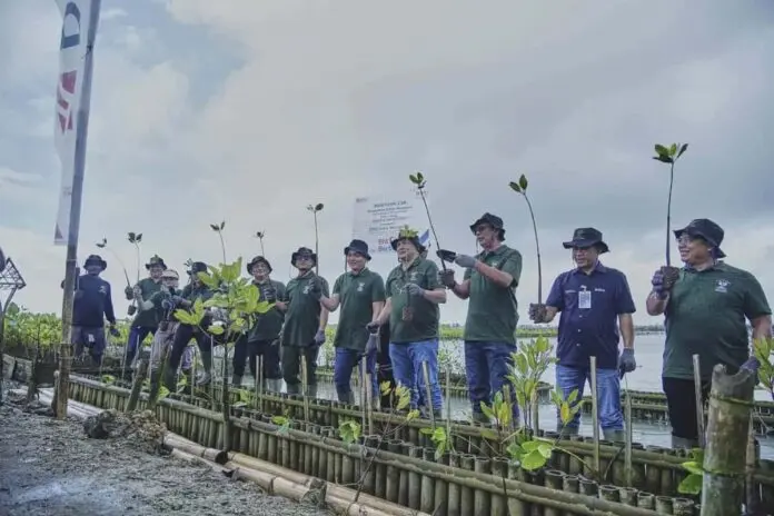 BNI Tanam 2.000 Bibit Mangrove di Teluk Benoa Bali BNI Tanam 2.000 Bibit Mangrove di Teluk Benoa Bali