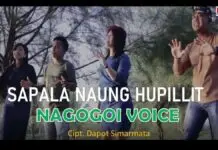 Lirik Lagu Sapala Naung Hupillit – Nagogoi Voice Lirik Lagu Sapala Naung Hupillit - Nagogoi Voice