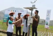 BNI Dukung Ketahanan Pangan Nasional Melalui Millennial Smart Farming